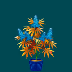 NFTokin #4266