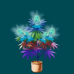 NFTokin #10511