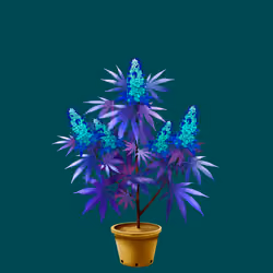 NFTokin #9533