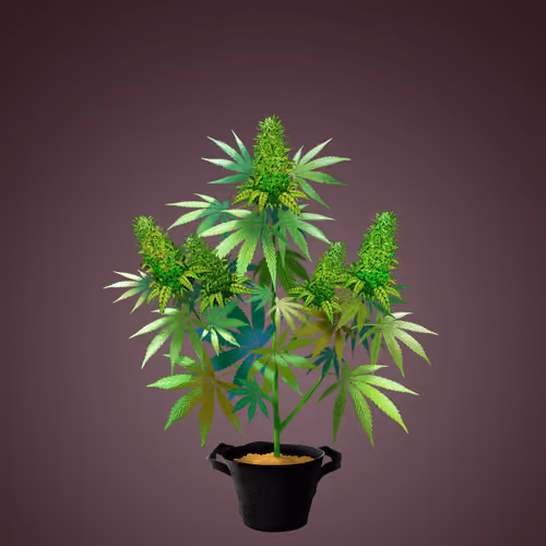 NFTokin #2196
