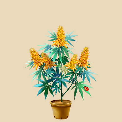 NFTokin #11253