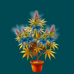 NFTokin #2154