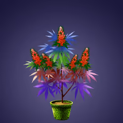 NFTokin #9906