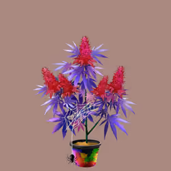 NFTokin #11744