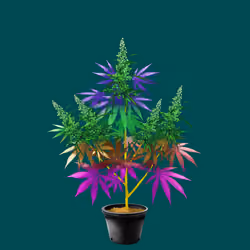 NFTokin #3687