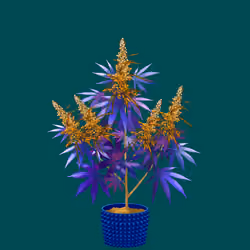 NFTokin #7828