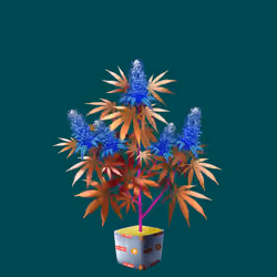 NFTokin #4917