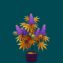 NFTokin #9707