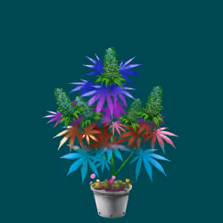 NFTokin #10857