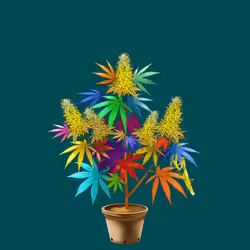 NFTokin #7771