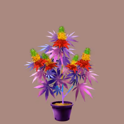 NFTokin #5019