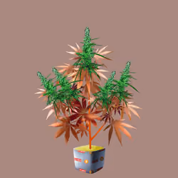 NFTokin #8850