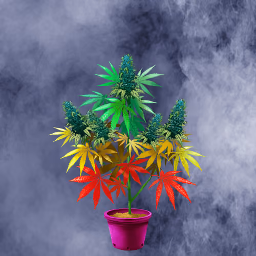 NFTokin #11153