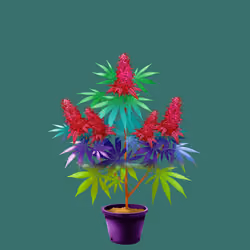 NFTokin #48