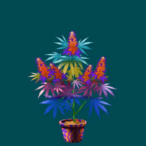 NFTokin #12132