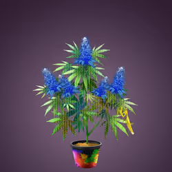 NFTokin #8952