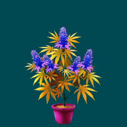 NFTokin #2667