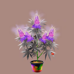 NFTokin #4638