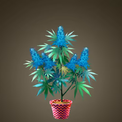 NFTokin #6135