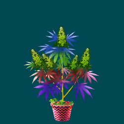 NFTokin #12164