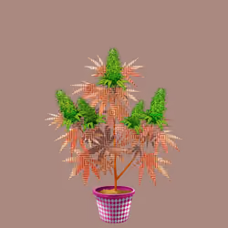 NFTokin #88