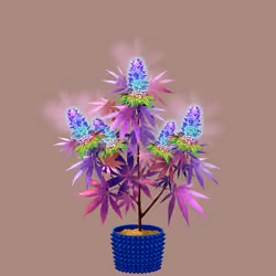 NFTokin #1823