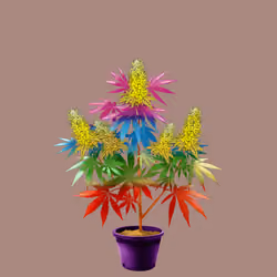 NFTokin #8640