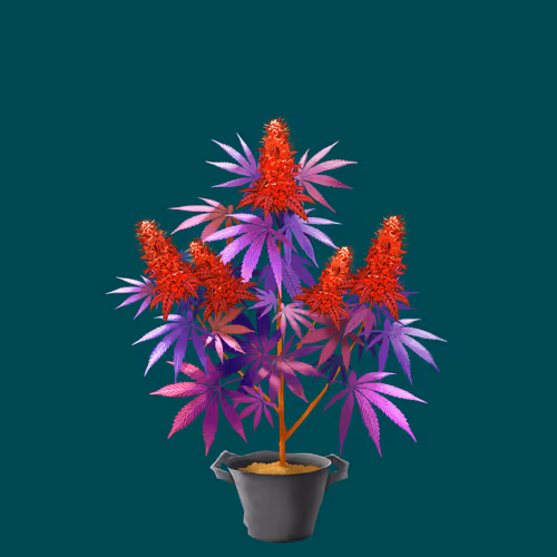 NFTokin #38