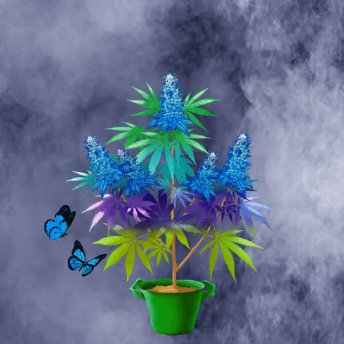 NFTokin #9477