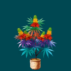 NFTokin #4351