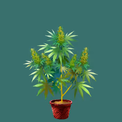 NFTokin #10540