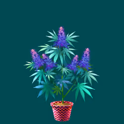 NFTokin #1178