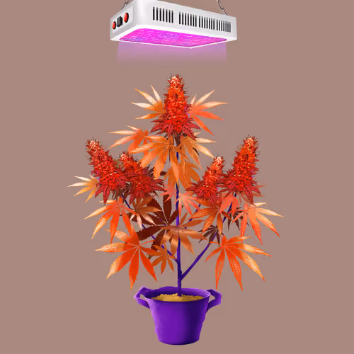 NFTokin #10351
