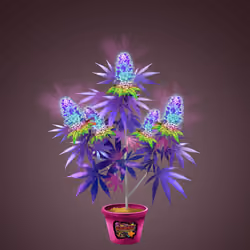 NFTokin #11450