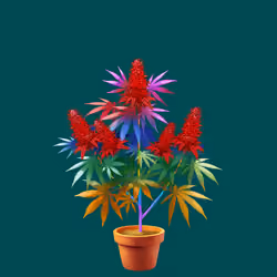 NFTokin #11860