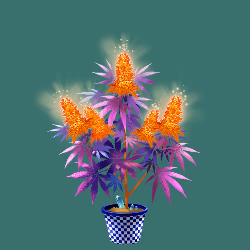 NFTokin #11135
