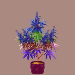 NFTokin #6807