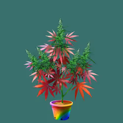 NFTokin #12888
