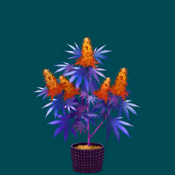 NFTokin #1068