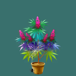 NFTokin #7852