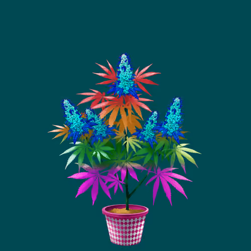 NFTokin #7111