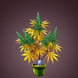 NFTokin #4099
