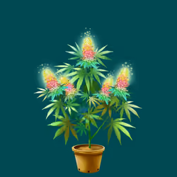 NFTokin #4698