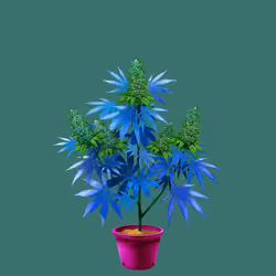 NFTokin #9780
