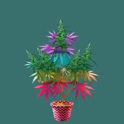 NFTokin #9102