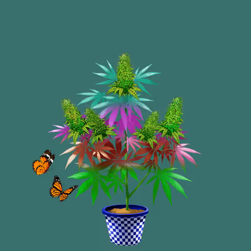 NFTokin #12488