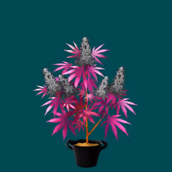 NFTokin #10821