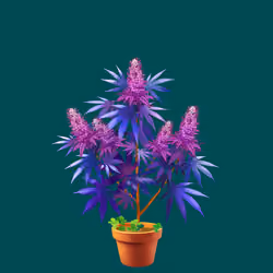 NFTokin #7856