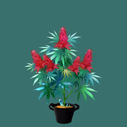 NFTokin #7480