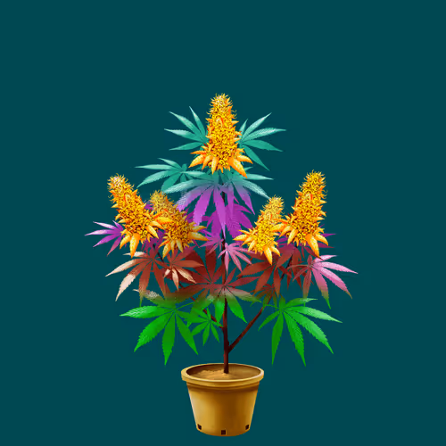 NFTokin #262
